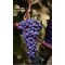 Vita de Vie - Merlot
