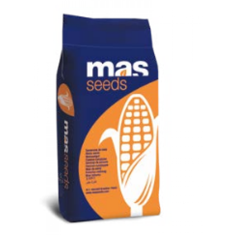 Samanta porumb MAS 48L - 50000 boabe