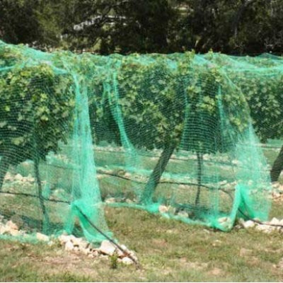 Plasa Anti-Pasari 4x12 metri