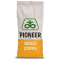 Samanta porumb Pioneer PR37N01 - 25000 boabe