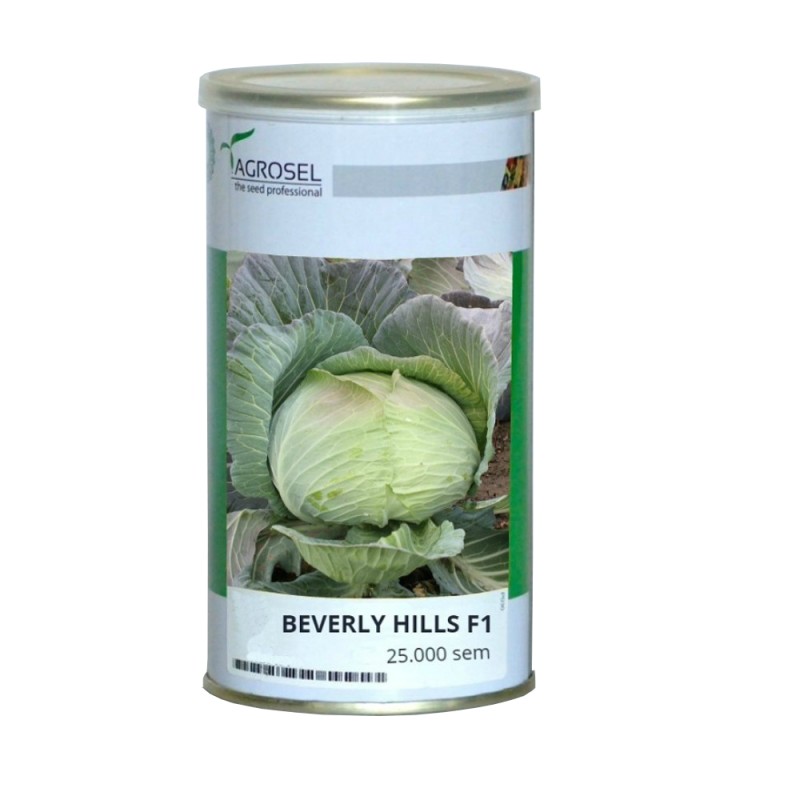 Varza Beverly Hills F1 - 25000 seminte