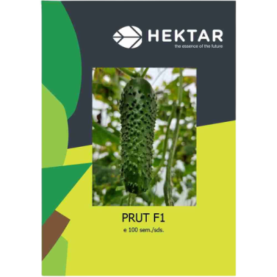 Seminte Castraveti Prut F1 (AS20c009 F1) 100 seminte 