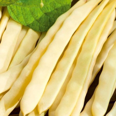 Seminte fasole Goldfield - 80 gr