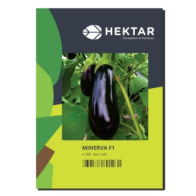 Seminte Vinete Minerva - 100sem