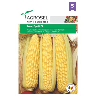 Porumb Zaharat - Sweet Spirit F1 - 100.000sem