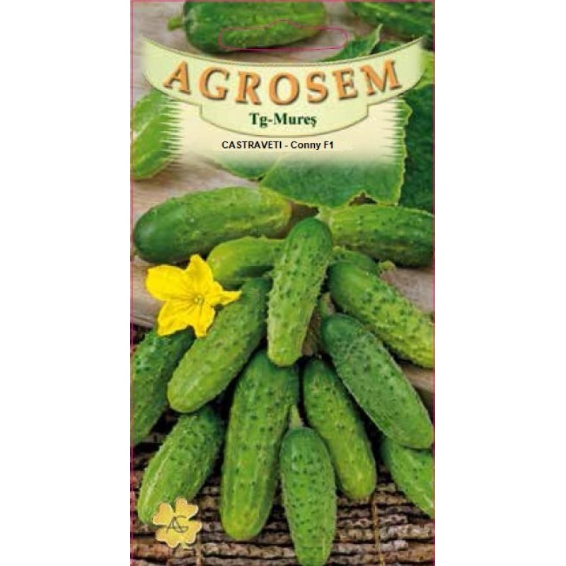 Seminte Castraveti - Conny F1 7 gr