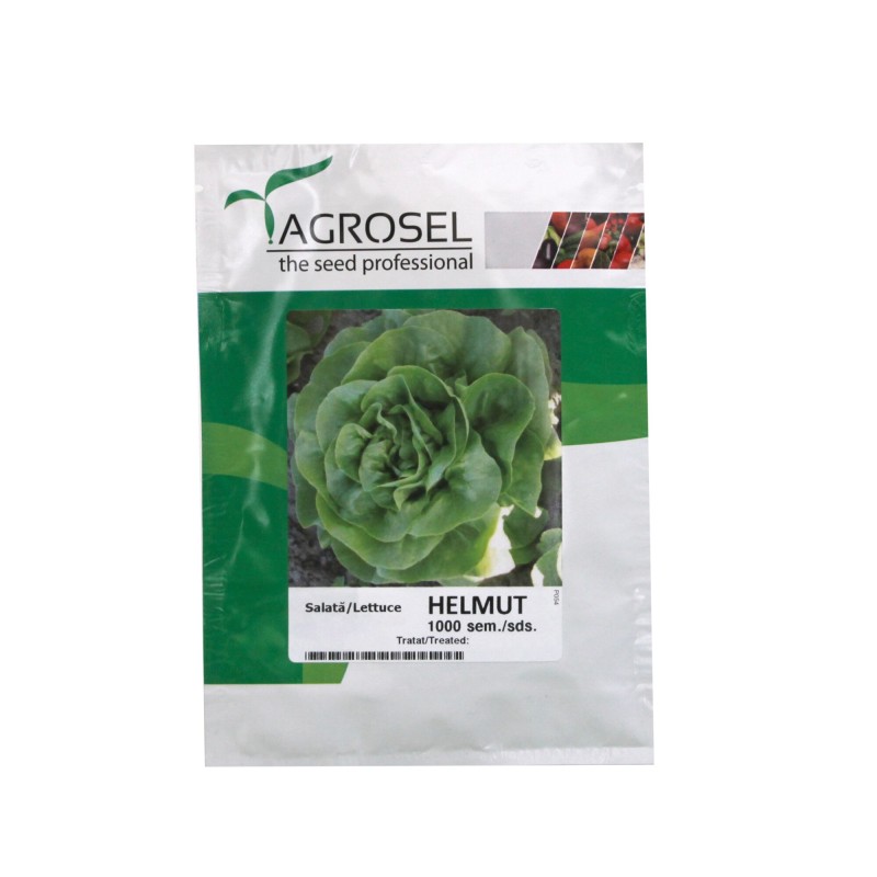 Seminte Salata Helmut -  1000 seminte