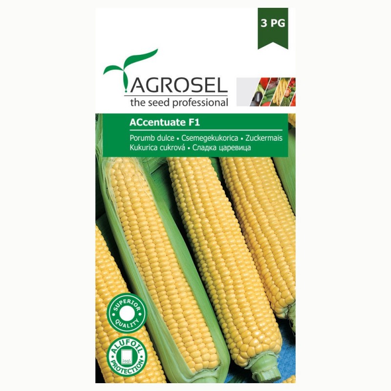 Porumb Zaharat - Accentuate F1 - 50.000 seminte