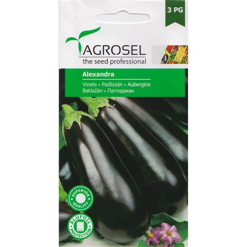 Seminte vinete Alexandra - 3000sem