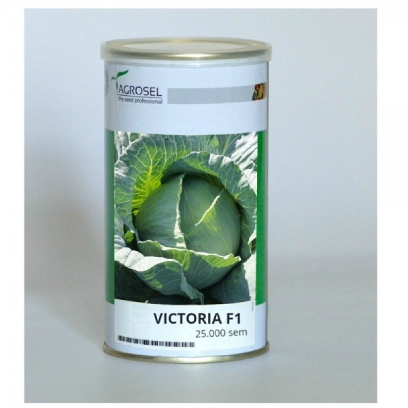 Varza Victoria F1 - 25000 seminte