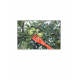 Culegator fructe EvoTools cu coada telescopica de aluminiu - 4metri