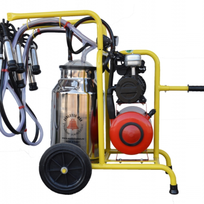 Aparat de muls vaci - 2 posturi cu bidon 40 l, inox