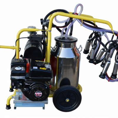 Aparat de muls vaci - 2 posturi cu bidon 40 l, inox, motor pe benzina