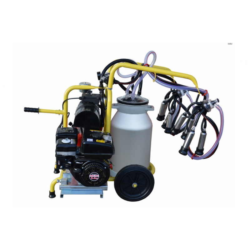 Aparat de muls vaci - 2 posturi cu bidon 40 l, aluminiu, motor pe benzina