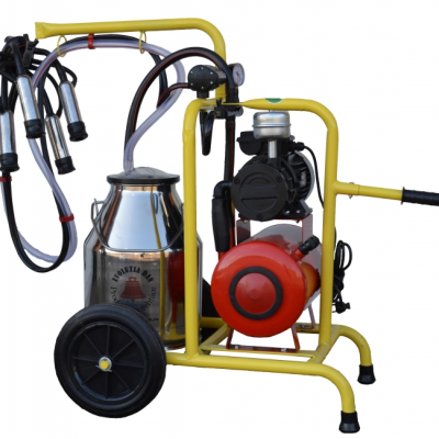 Aparat de muls vaci - 1 post cu bidon 30 l, inox